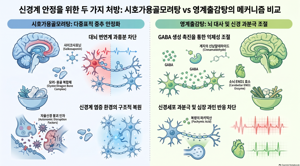 신경안정제 없이 심장 두근거림과 불면증 잡는 뇌-장 축 회복 한약