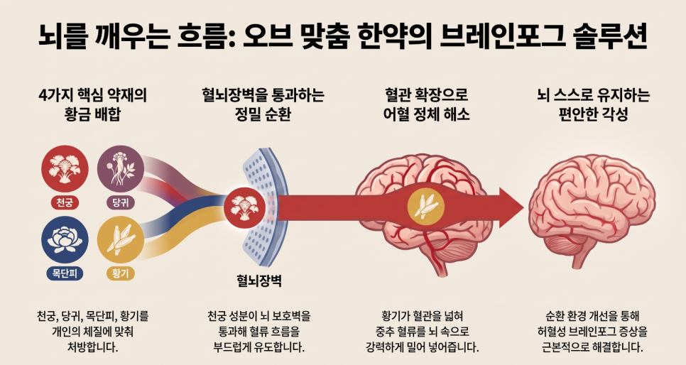 집중력 약물 장기 복용과 기억력 저하, 안전한 뇌파 회복 가이드