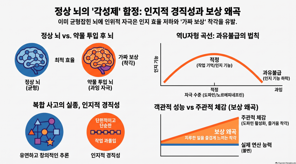 "집중력과 긴장 완화를 동시에?" 콘서타·인데놀 임의 병용이 신경계와 심혈관에 미치는 약리학적 영향